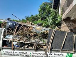Best Appliance Removal  in Sterling Heights, MI
