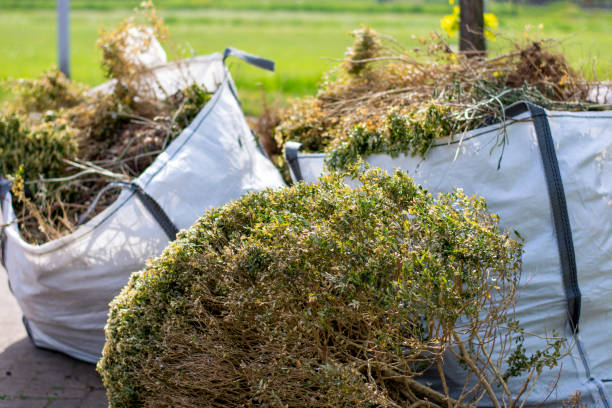 Best Carpet Removal and Disposal  in Sterling Heights, MI