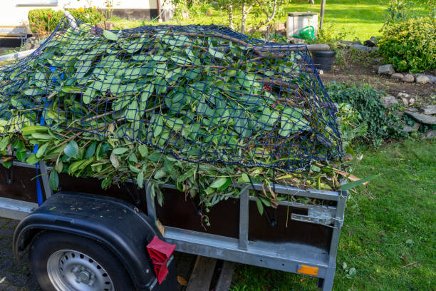 Best Shed Removal  in Sterling Heights, MI